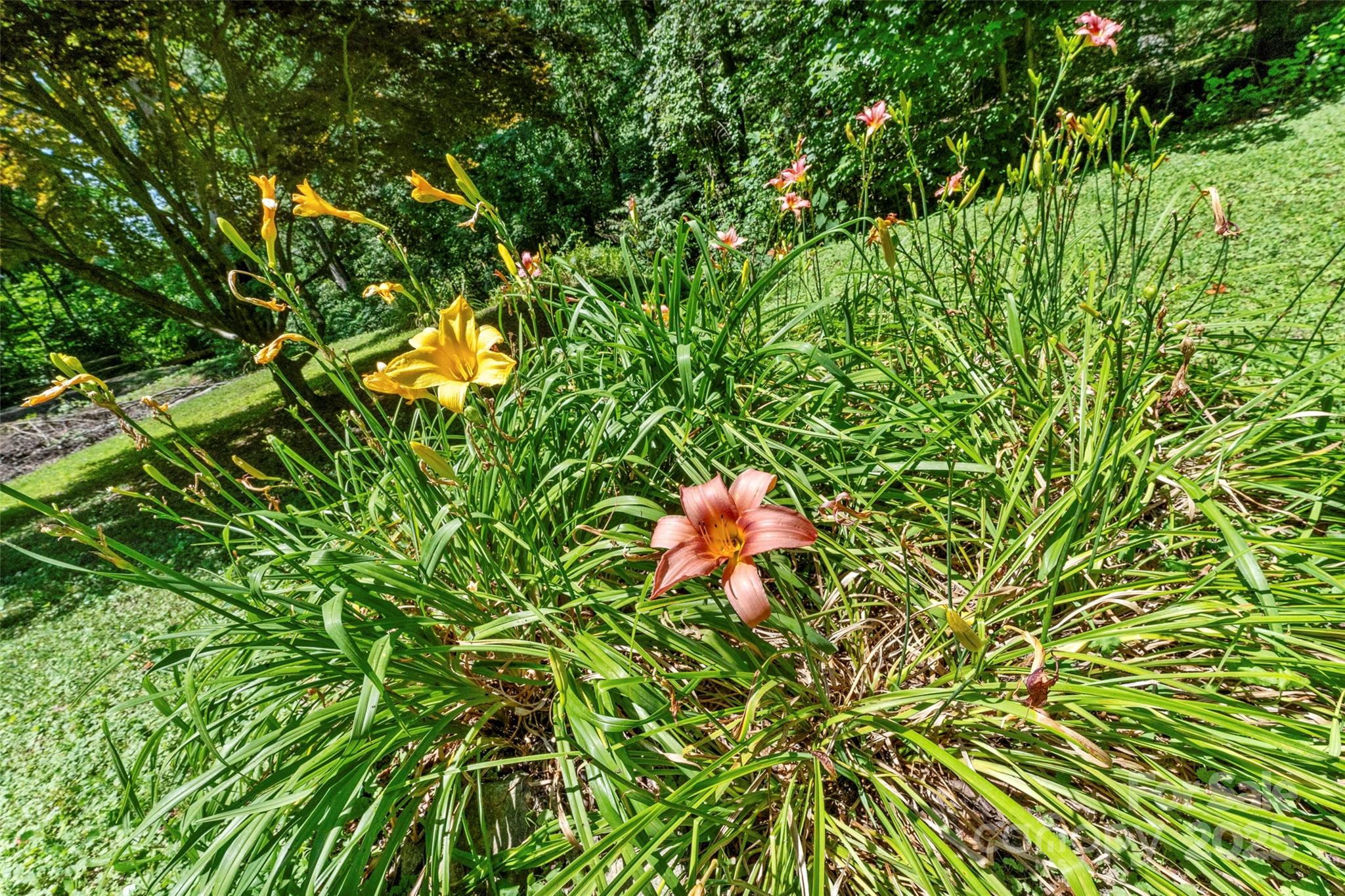 Tbd General Hill Road Flat Rock, NC 28731 - Photo 16 of 21