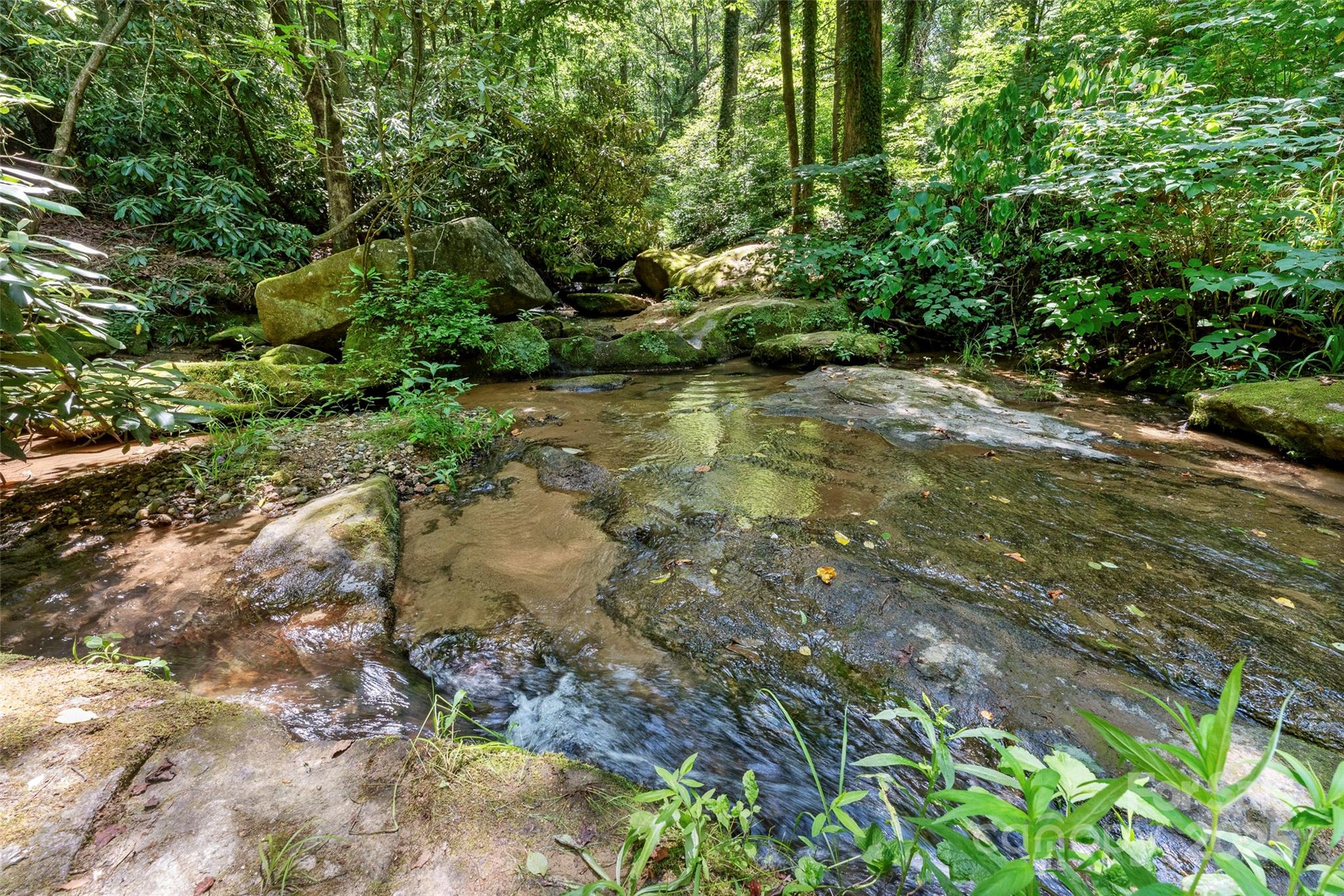 Tbd General Hill Road Flat Rock, NC 28731 - Photo 17 of 21