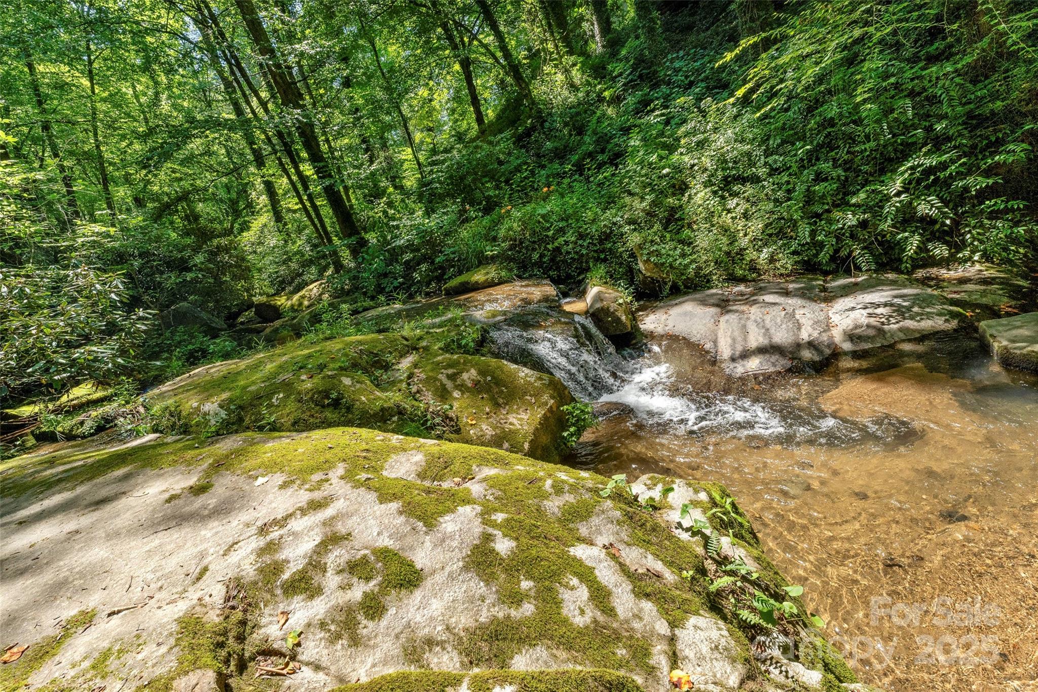 Tbd General Hill Road Flat Rock, NC 28731 - Photo 18 of 21