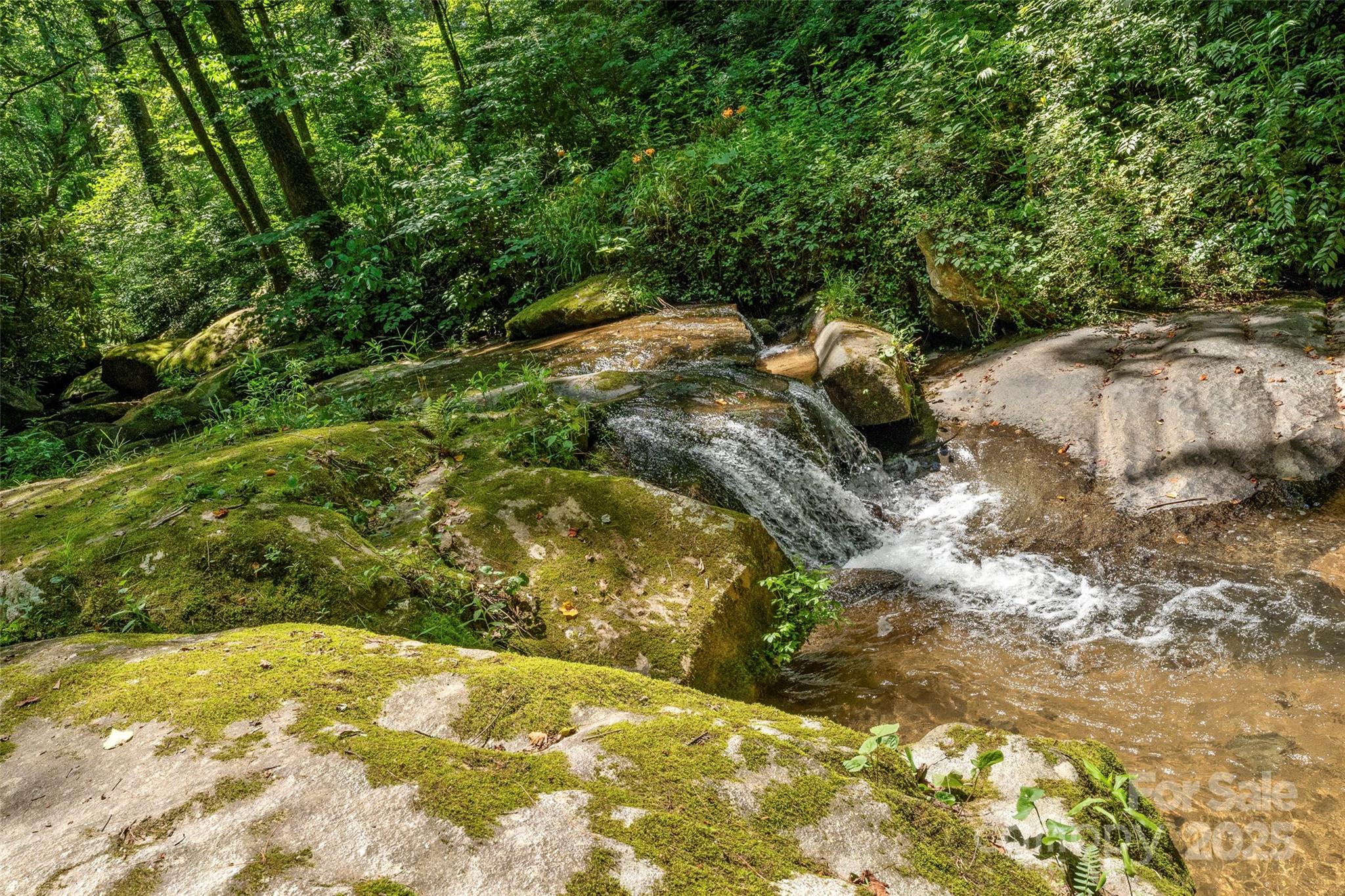 Tbd General Hill Road Flat Rock, NC 28731 - Photo 19 of 21