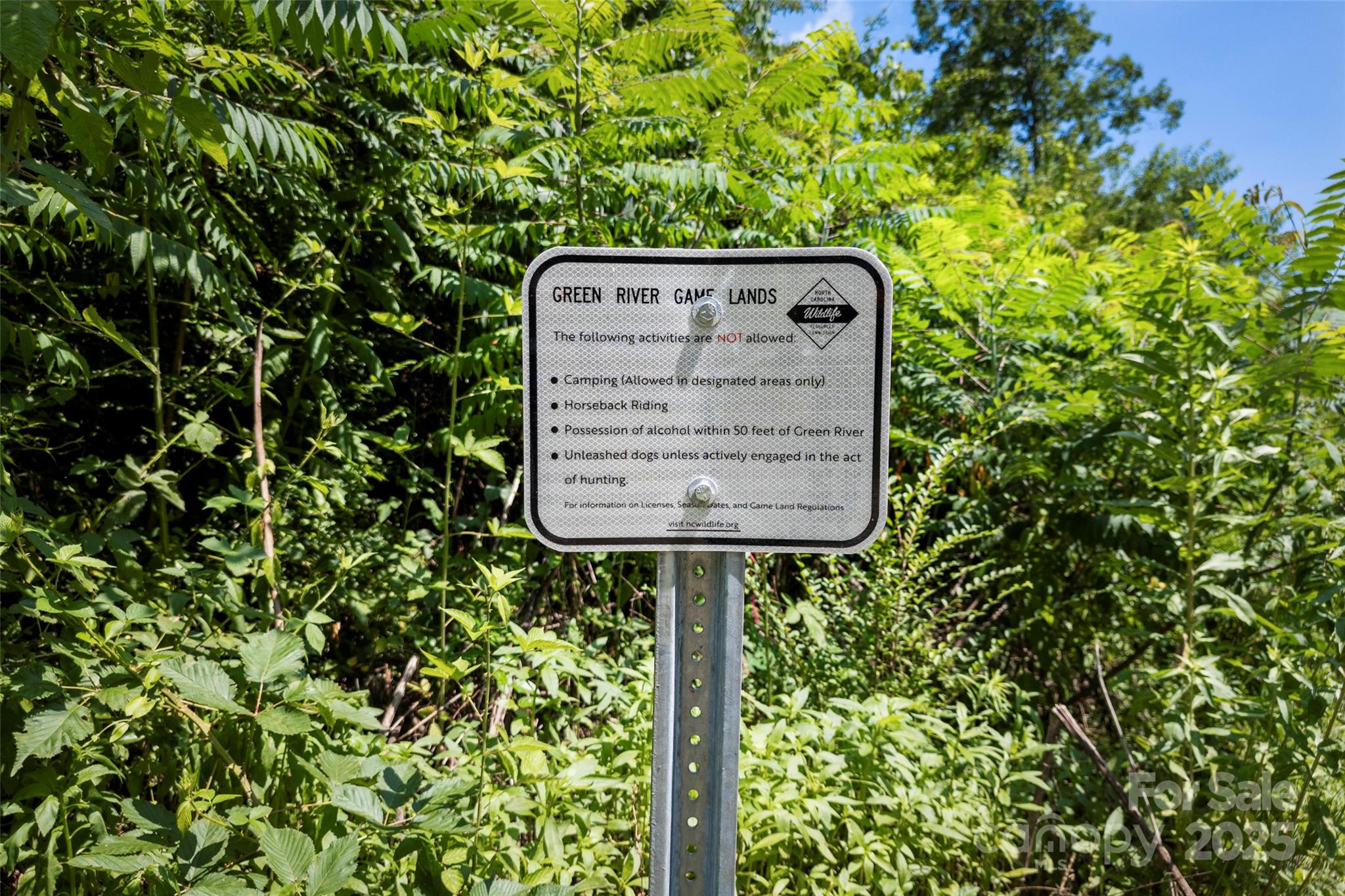 Tbd General Hill Road Flat Rock, NC 28731 - Photo 20 of 21