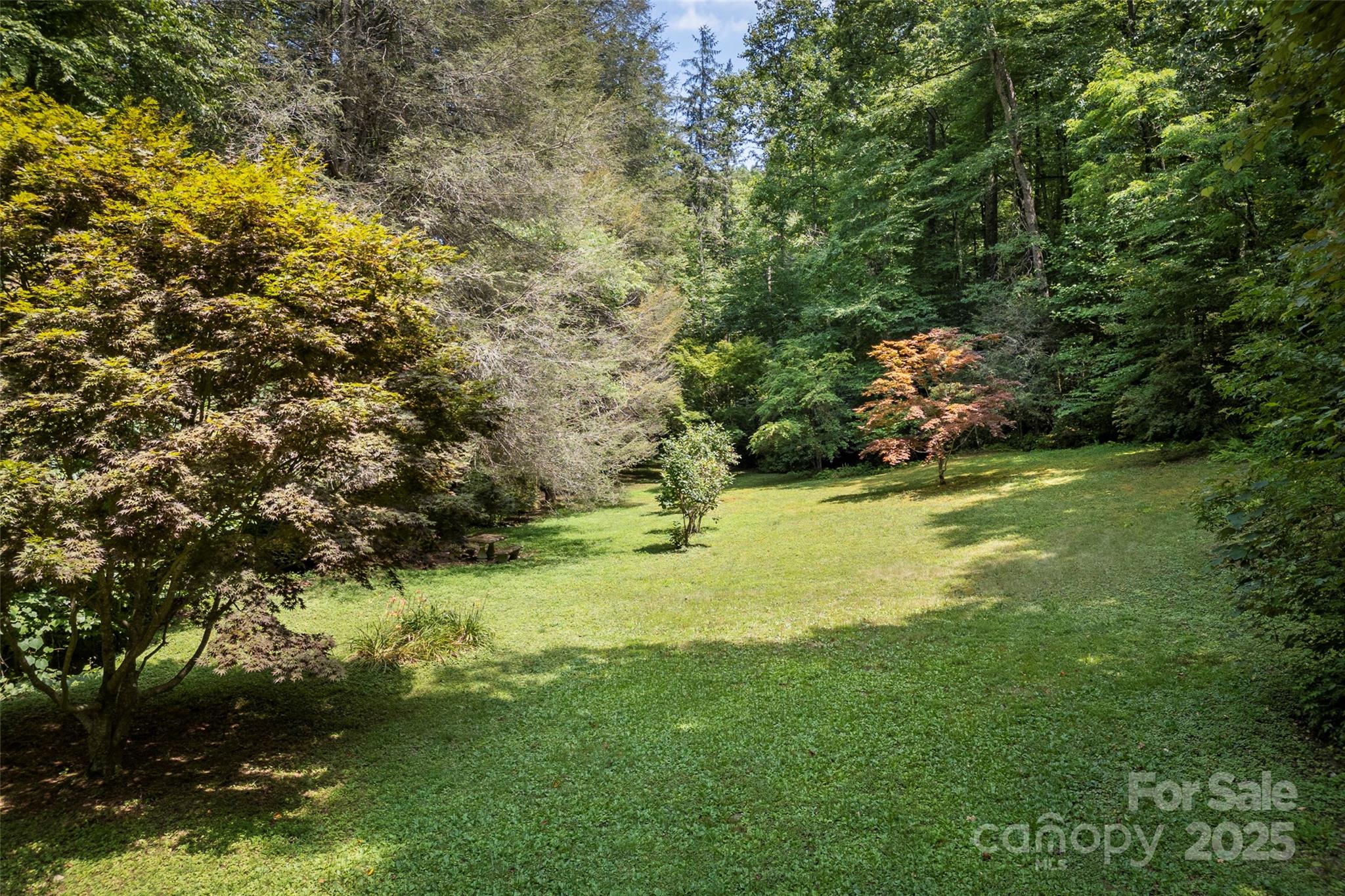 Tbd General Hill Road Flat Rock, NC 28731 - Photo 2 of 21