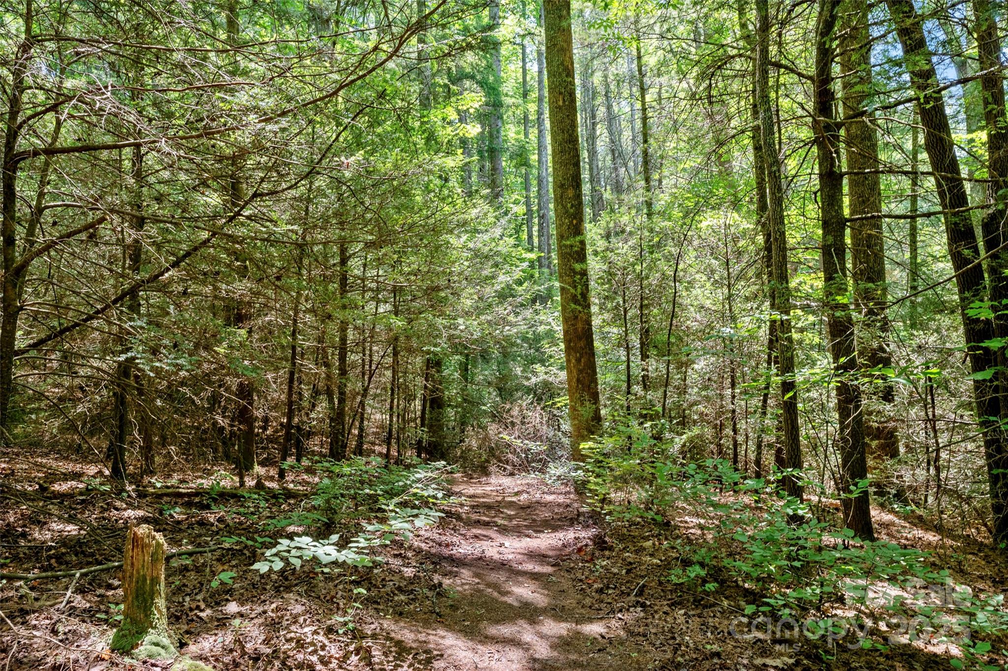 Tbd General Hill Road Flat Rock, NC 28731 - Photo 6 of 21