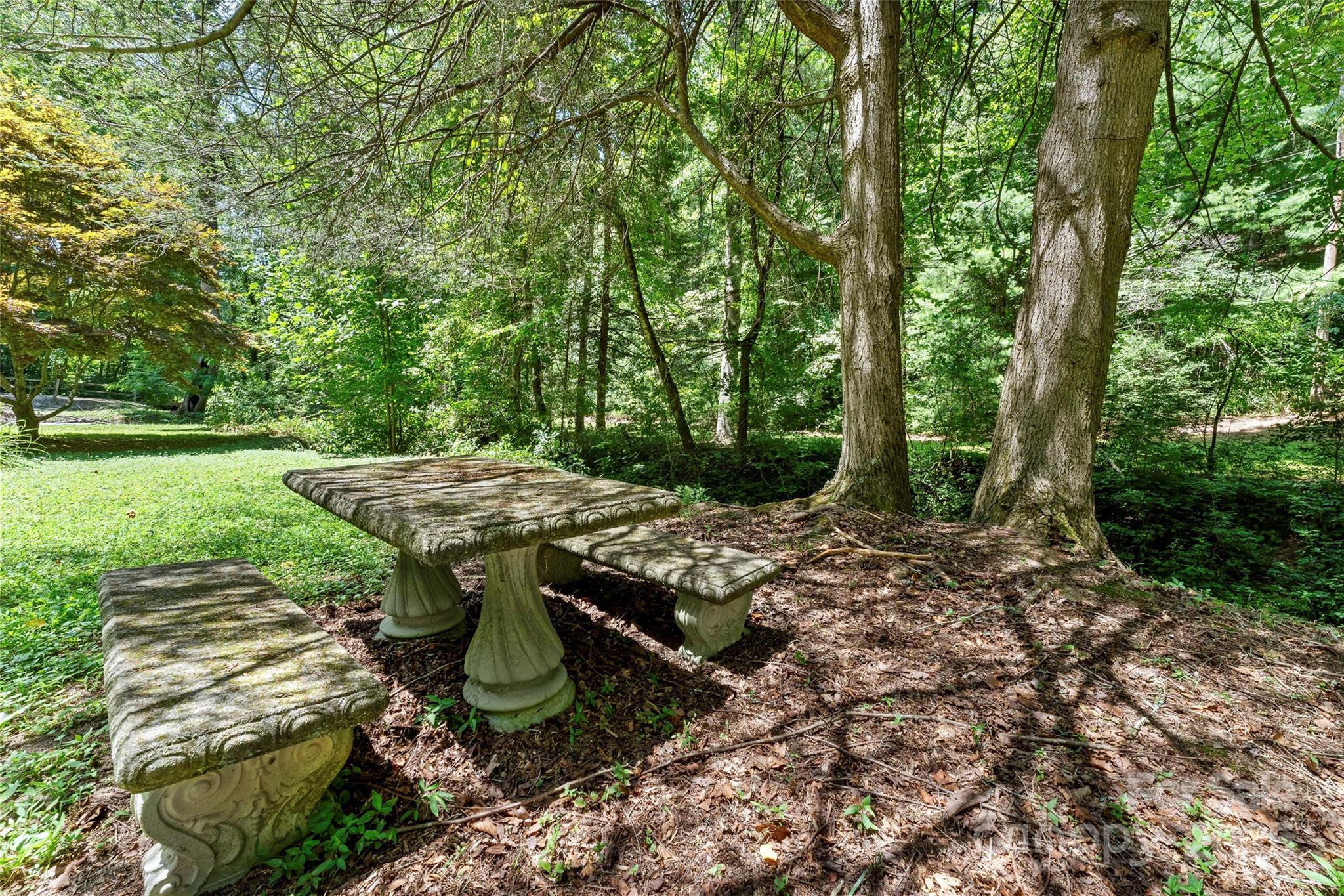 Tbd General Hill Road Flat Rock, NC 28731 - Photo 7 of 21