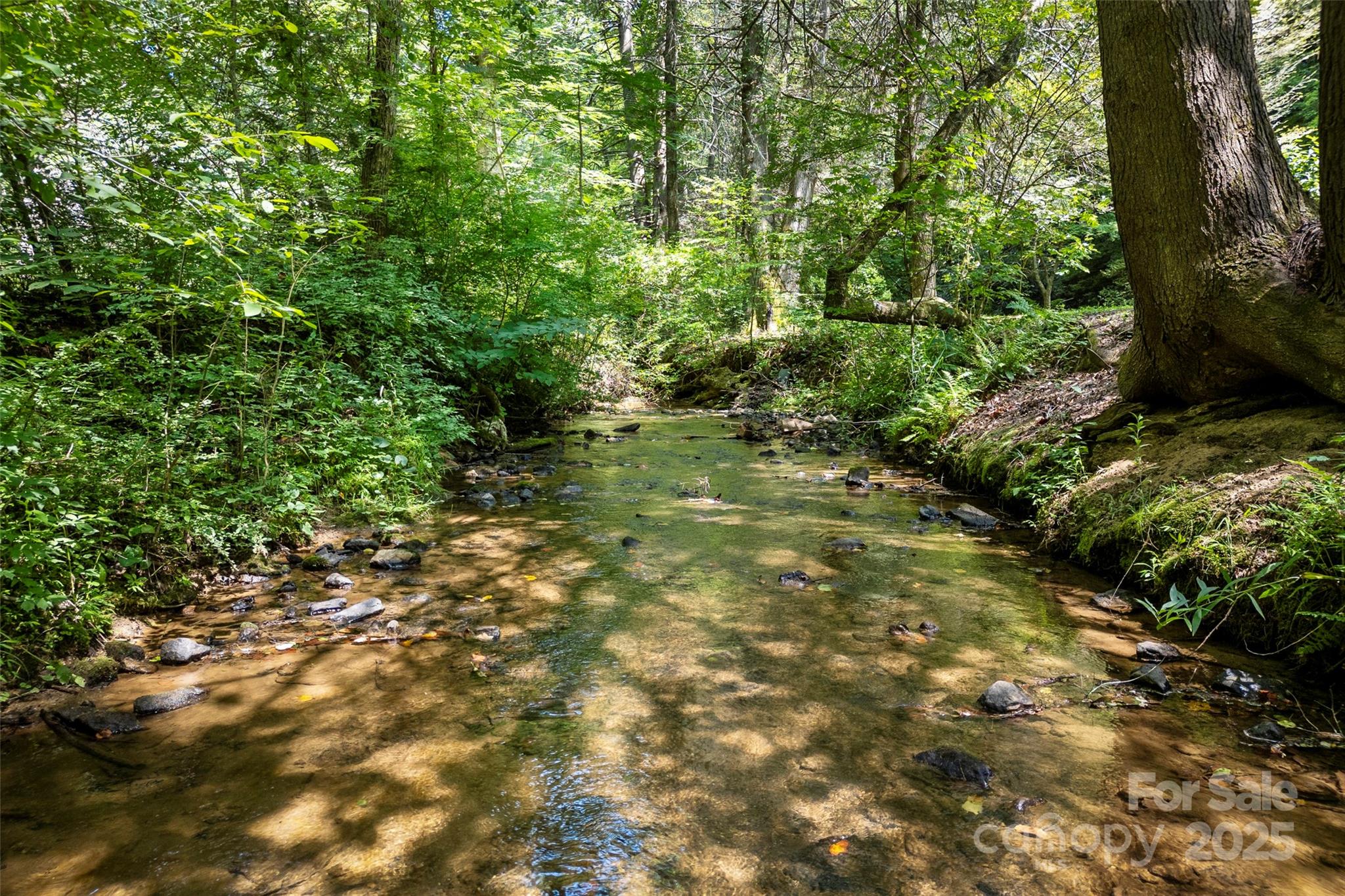 Tbd General Hill Road Flat Rock, NC 28731 - Photo 8 of 21