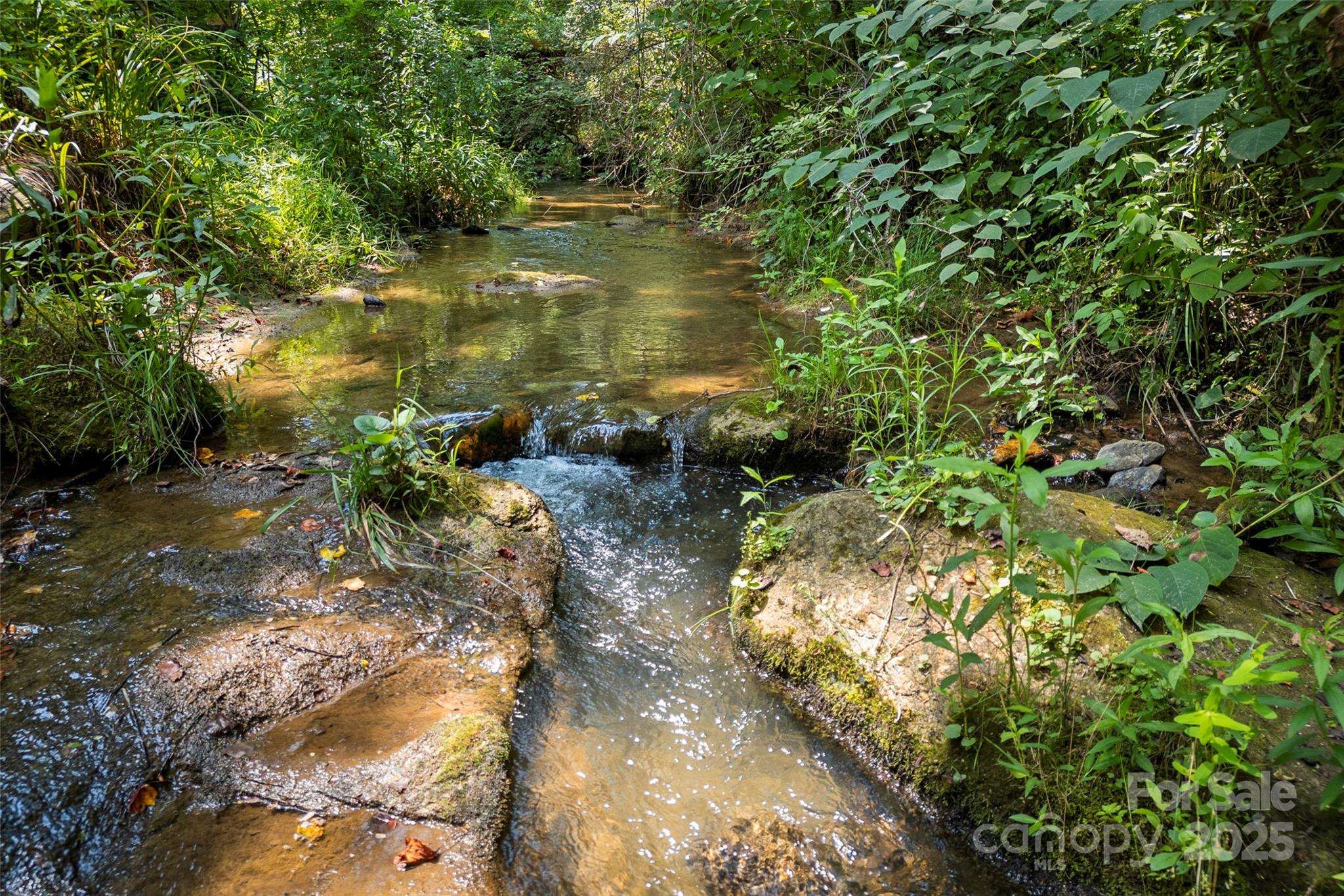 Tbd General Hill Road Flat Rock, NC 28731 - Photo 9 of 21