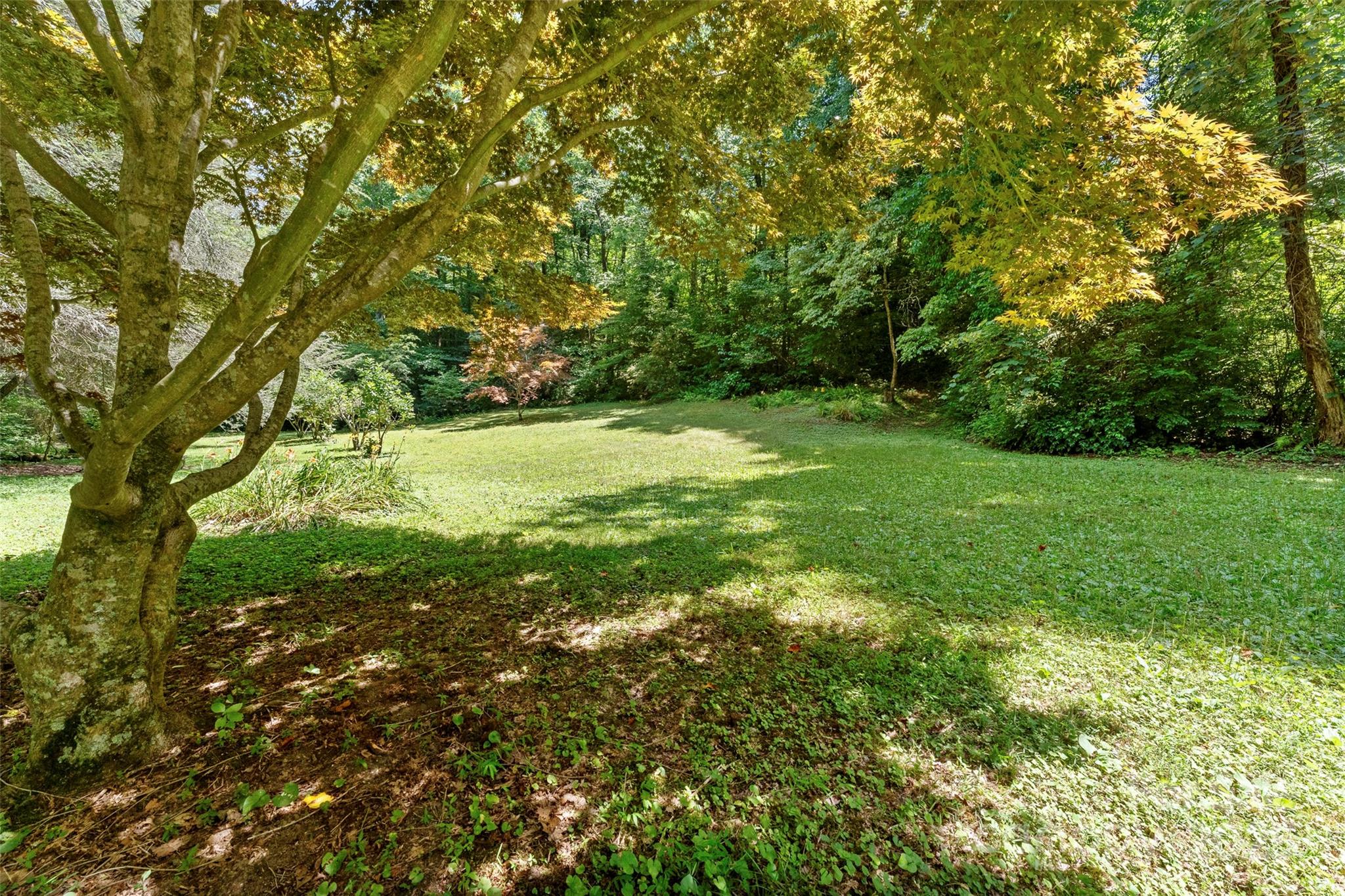 Tbd General Hill Road Flat Rock, NC 28731 - Photo 10 of 21