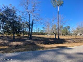 5-7 Poinsetta Loop Pass Pass Christian, MS 39571 - Photo 2 of 20 IMG_3526