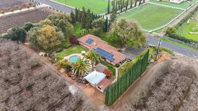 a view of a livingroom with furniture and a potted plant
