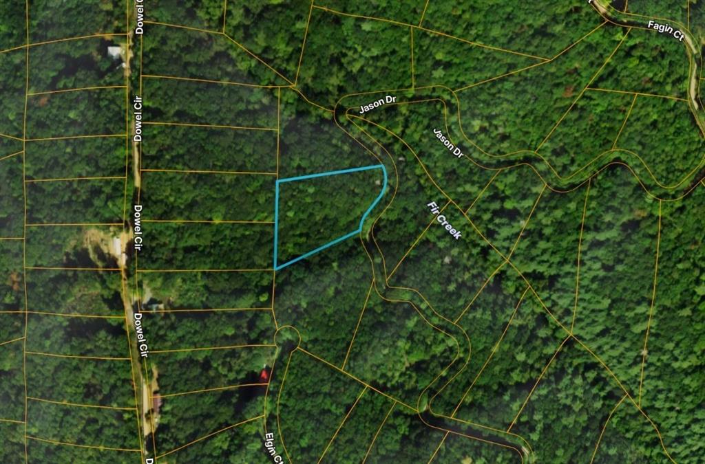 Lot206 Dowell Circle Ellijay, GA 30540 - Photo 3 of 3 a view of a plant