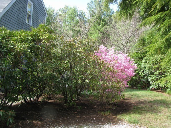305 Simon Narrows Road Mashpee, MA 02649 - Photo 9 of 22