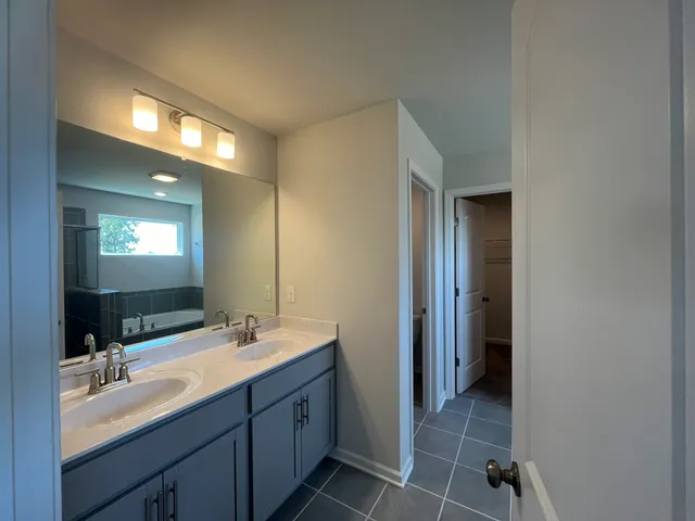 a bathroom with a double vanity sink a mirror and a shower