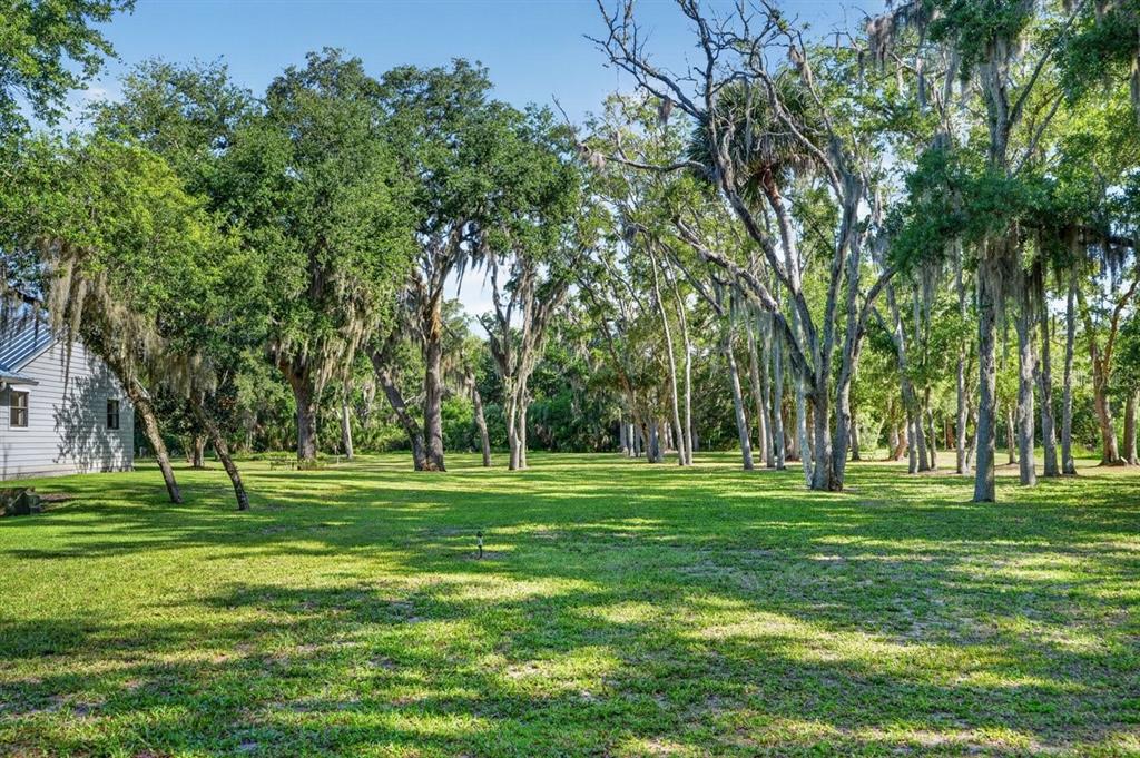 171 William Street Edgewater, FL 32141 - Photo 34 of 40 a grassy field with trees in the background