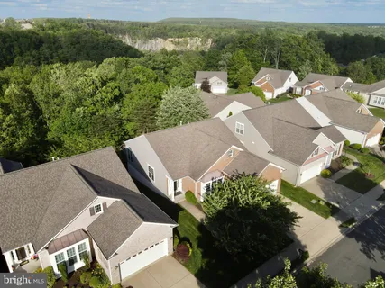 a view of a yard