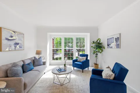 a living room with furniture potted plant and a window