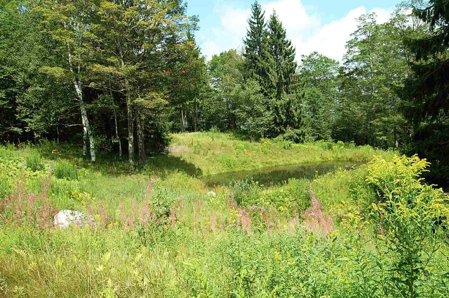 130 North Brookwood Road Stratton, VT 05340 - Photo 1 of 2