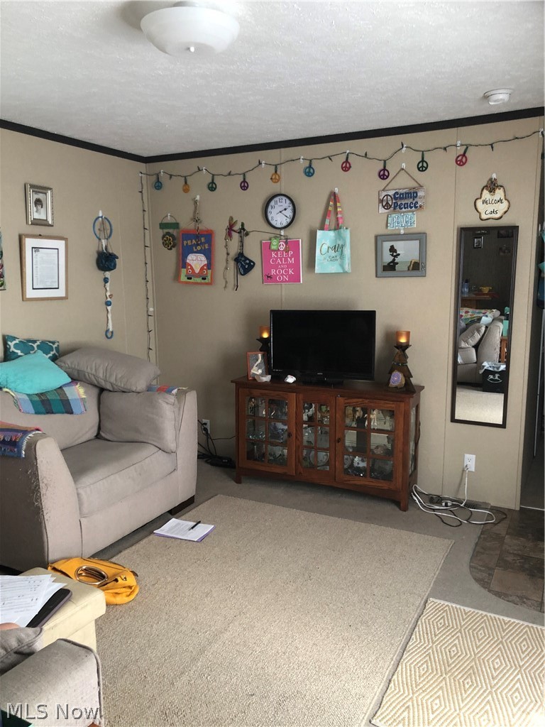 202 West Main Road, Unit 55 Conneaut, OH 44030 - Photo 6 of 7 Gallery Image 6