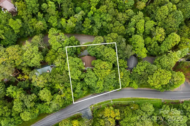 a view of a yard with plants