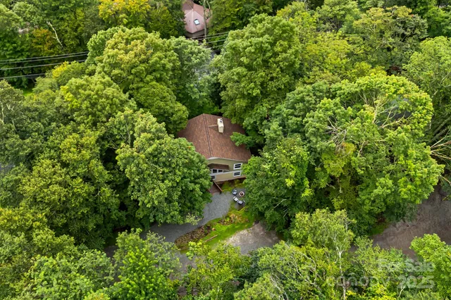 a view of a bunch of trees