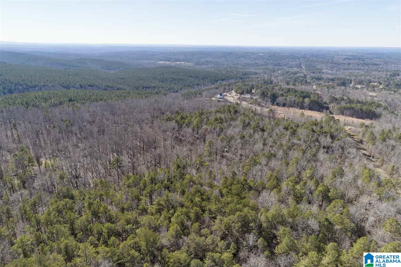 0 Mountain Drive, Unit 159ACRES Remlap, AL 35133 - Photo 3 of 8