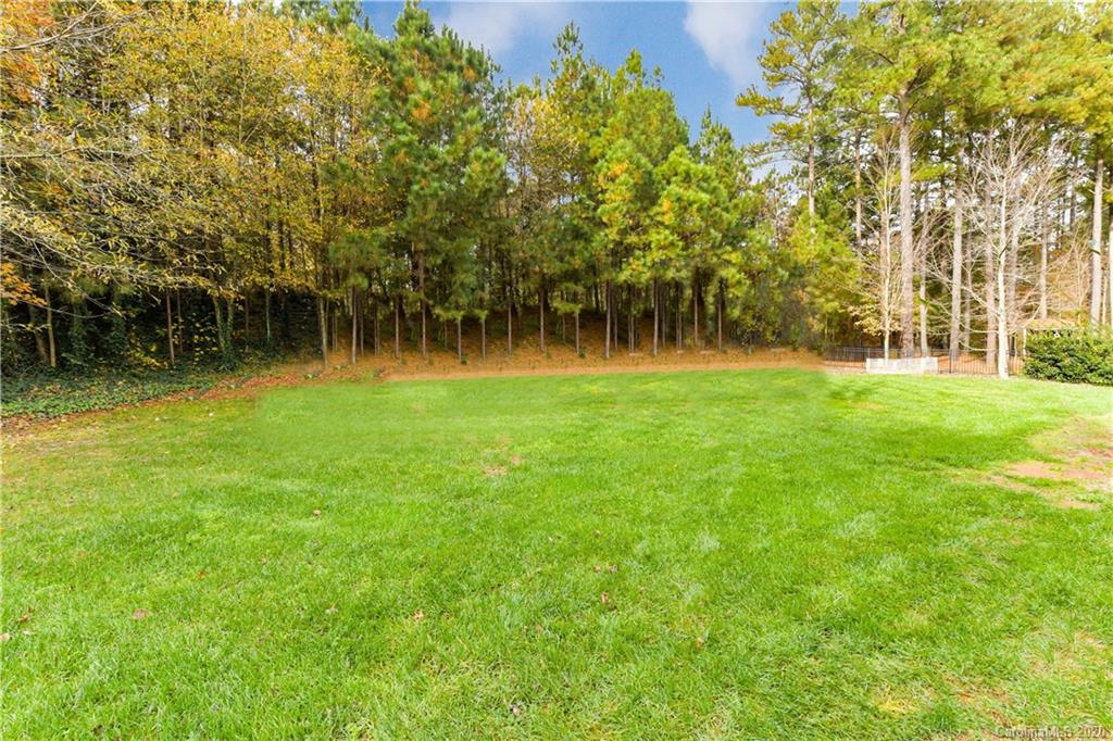 4277 Crepe Ridge Drive Denver, NC 28037 - Photo 29 of 44 Gallery Image 29