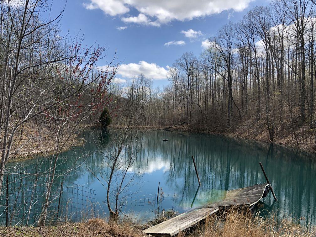 3828 South Smithfield Road Centerville, TN 37033 - Photo 1 of 25 44 acres with rustic cabin