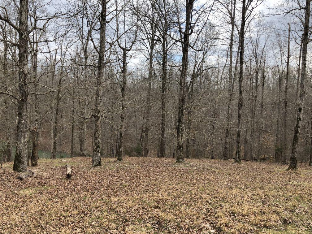 3828 South Smithfield Road Centerville, TN 37033 - Photo 15 of 25 Gallery Image 15
