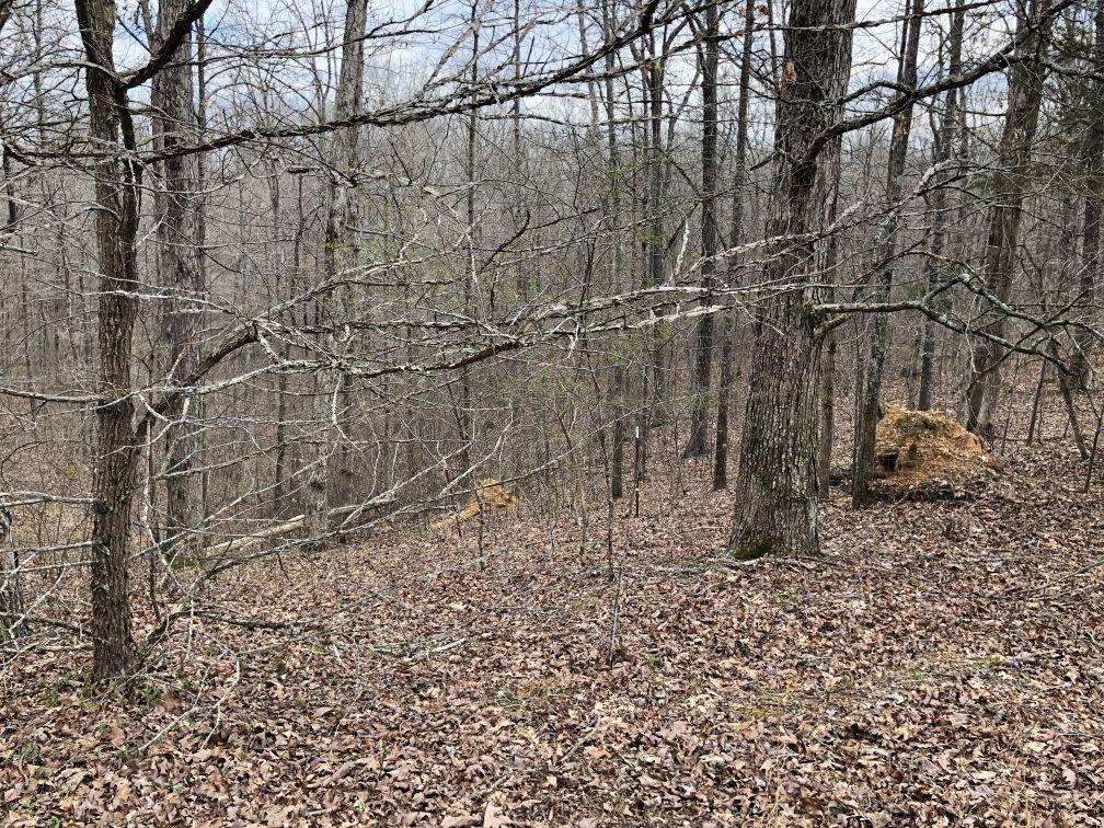 3828 South Smithfield Road Centerville, TN 37033 - Photo 16 of 25 Gallery Image 16