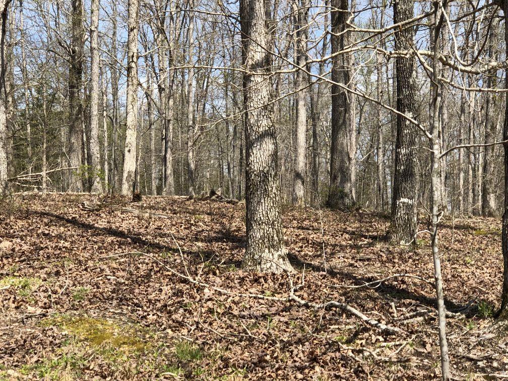 3828 South Smithfield Road Centerville, TN 37033 - Photo 23 of 25 Gallery Image 23