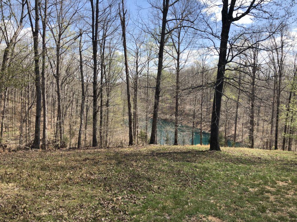 3828 South Smithfield Road Centerville, TN 37033 - Photo 24 of 25 Gallery Image 24