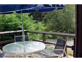 607 Otter Road, Unit 7 Grantham, NH 03753 - Photo 6 of 9