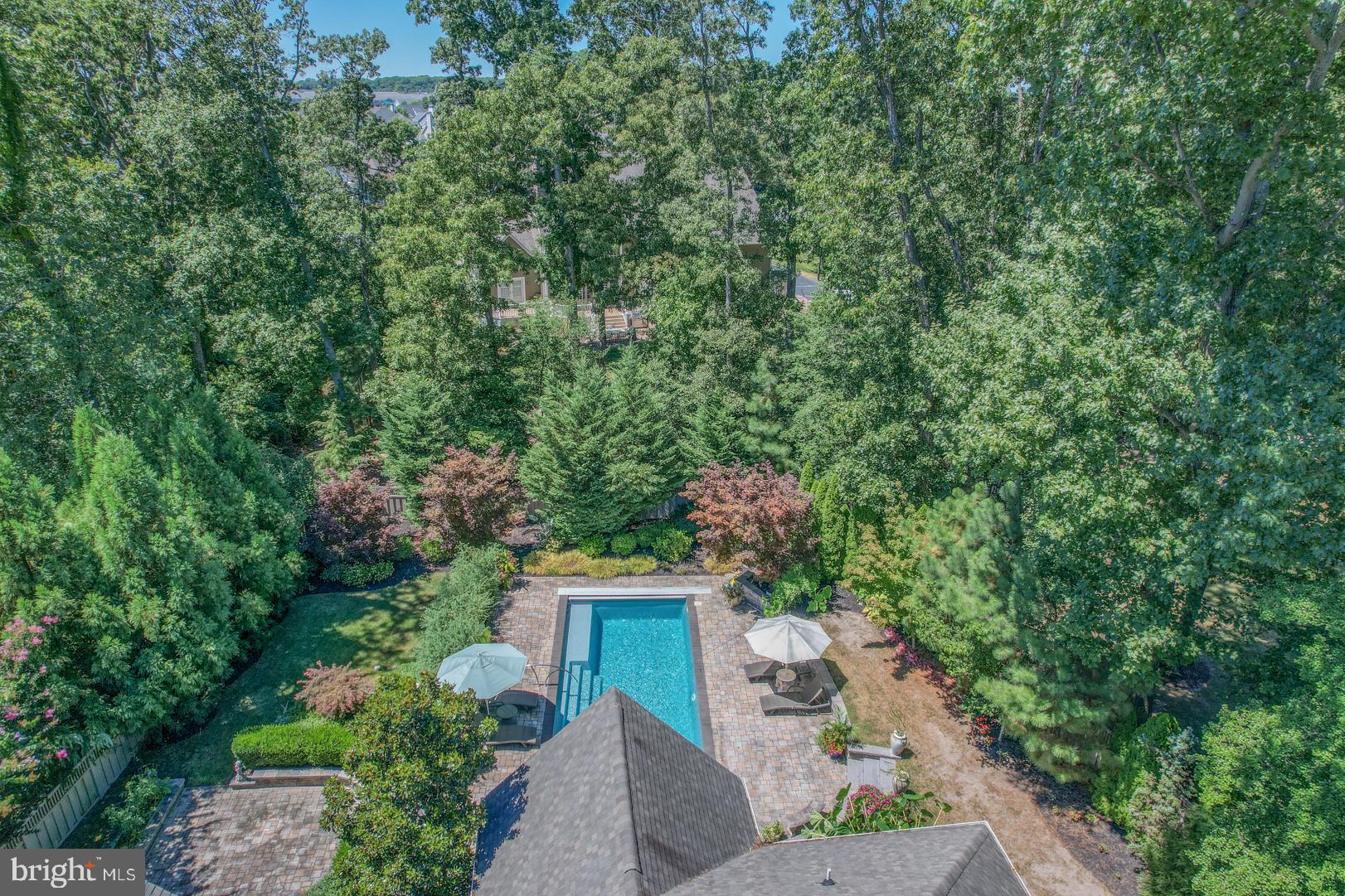 35484 Red Tail Road Lewes, DE 19958 - Photo 4 of 54 Lushly Landscaped Private Backyard.