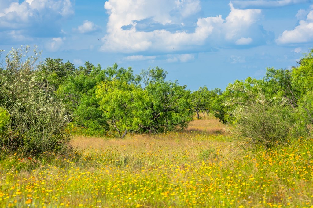 0 County Road Llano, TX 78643 - Photo 15 of 45