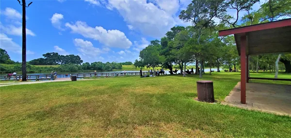 a view of a park with large trees