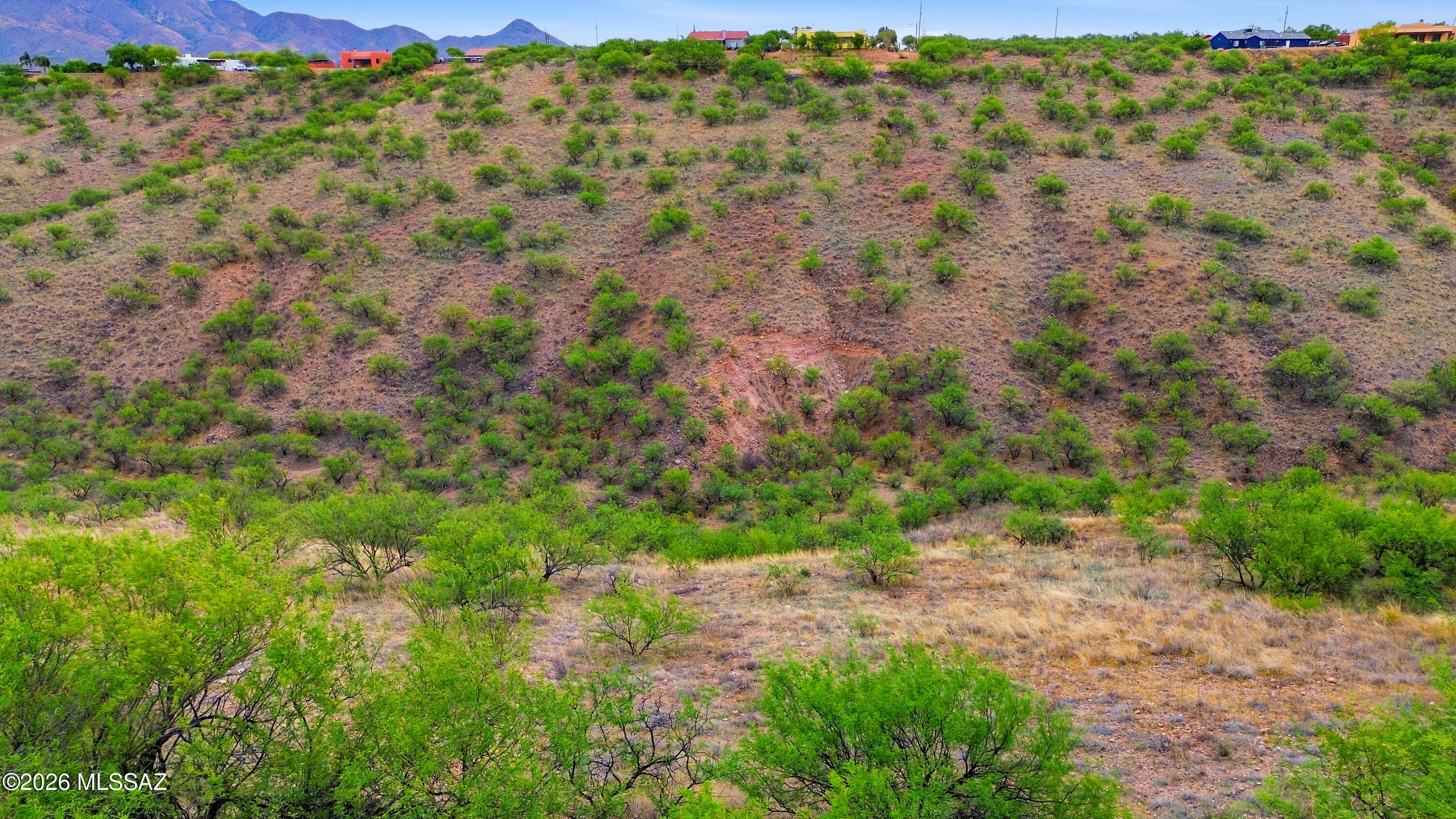 1544 Circulo Jacona, Unit 119 Rio Rico, AZ 85648 - Photo 15 of 16 a view of a field with a tree