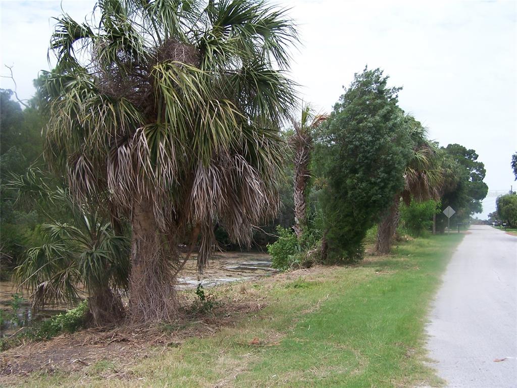 8545 Betty Street Port Richey, FL 34668 - Photo 1 of 1 Gallery Image 1