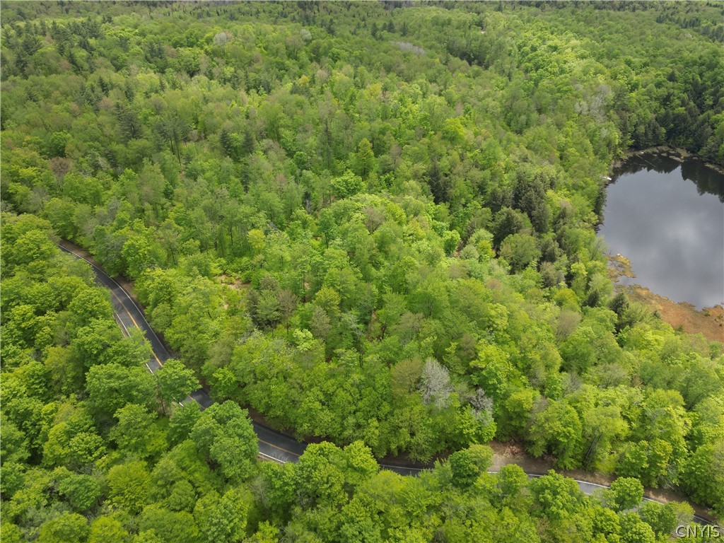 0 Hawkinsville Road Woodgate, NY 13494 - Photo 6 of 27