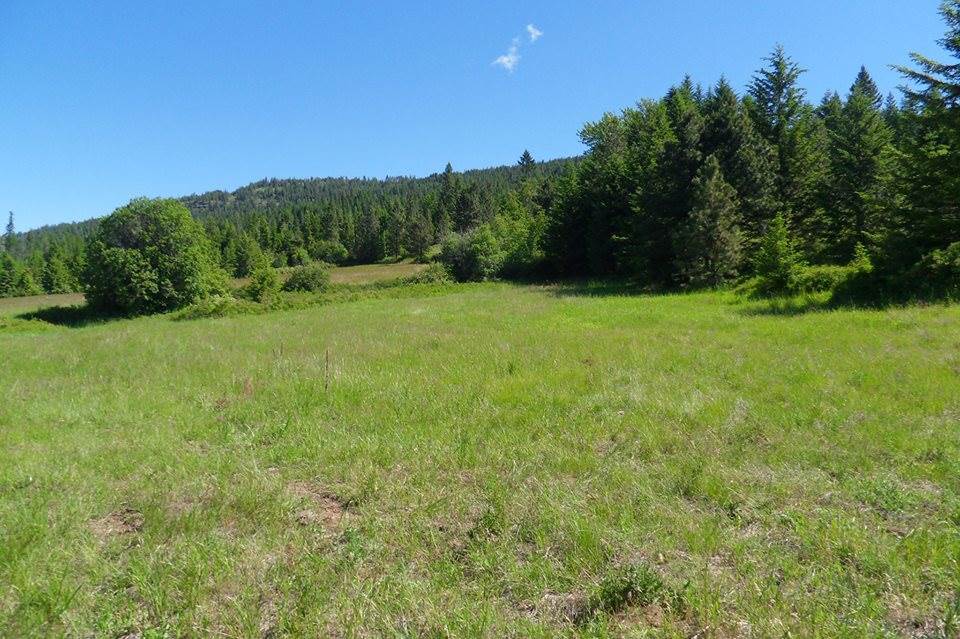 1904 Old CC Road Addy, WA 99101 - Photo 1 of 5