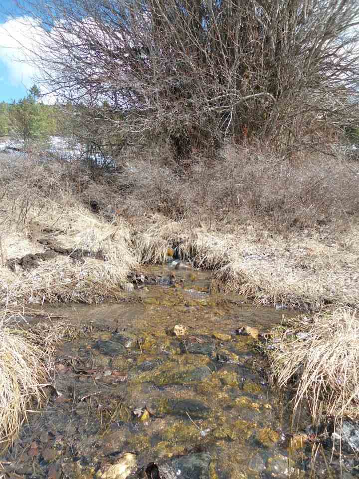 1904 Old CC Road Addy, WA 99101 - Photo 2 of 5