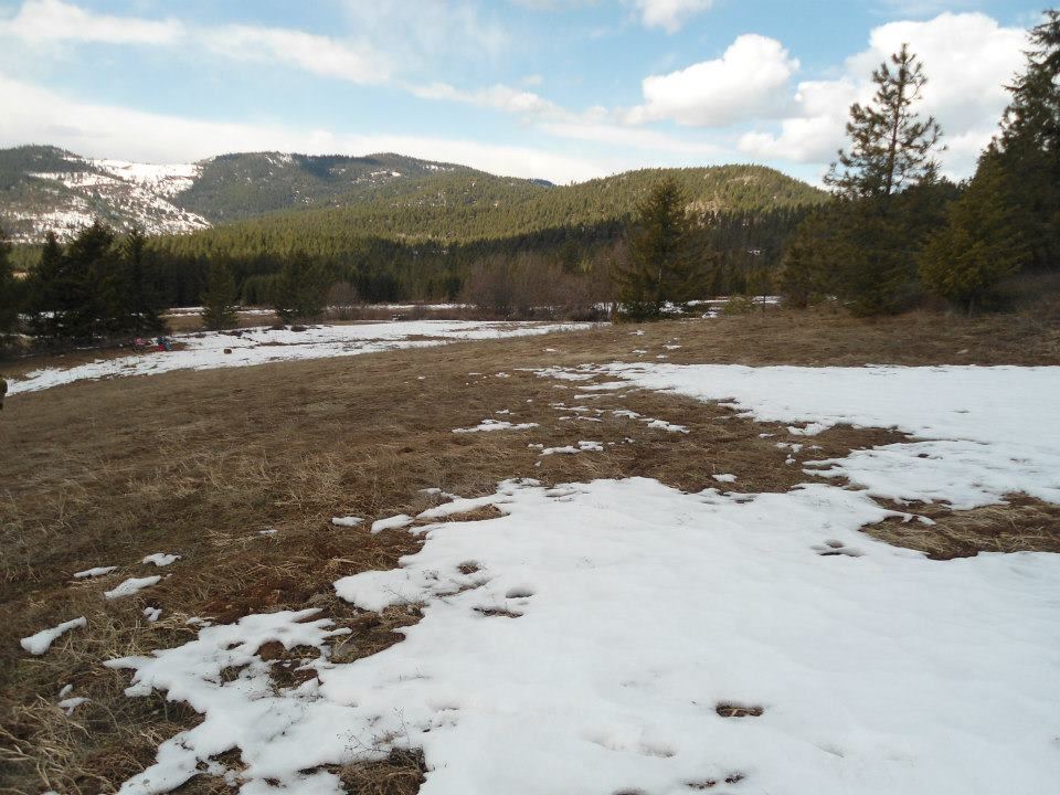 1904 Old CC Road Addy, WA 99101 - Photo 3 of 5