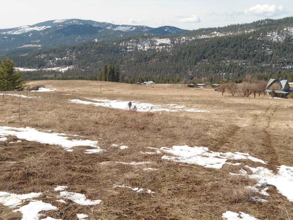 1904 Old CC Road Addy, WA 99101 - Photo 4 of 5