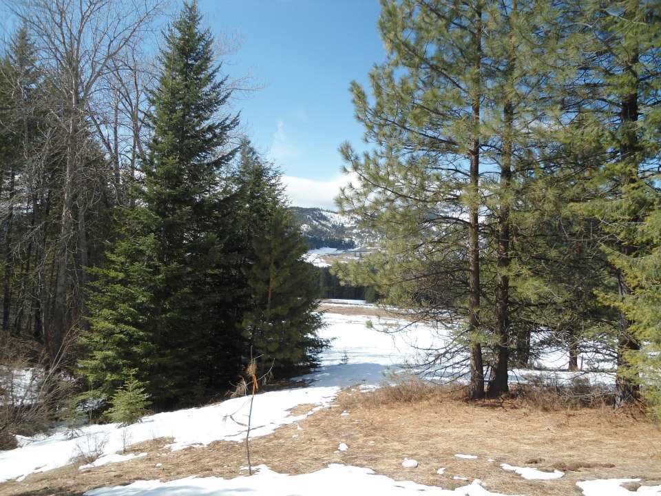 1904 Old CC Road Addy, WA 99101 - Photo 5 of 5