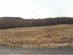 18 Mowry Road Meshoppen, PA 18630 - Photo 3 of 13