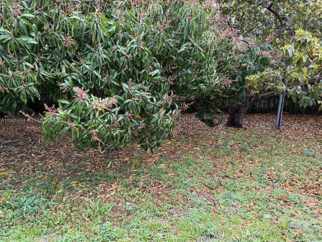 2001 Southwest 100th Avenue Miramar, FL 33025 - Photo 6 of 8