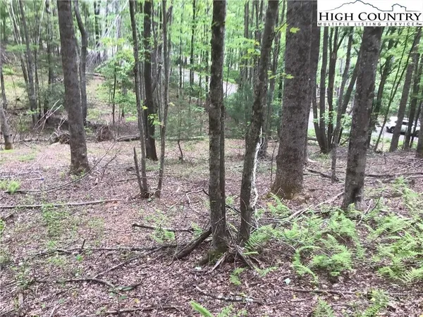 $29,900 | Lot 18-the Lot 18-the Peaks Regal Drive, Jefferson, NC 28640