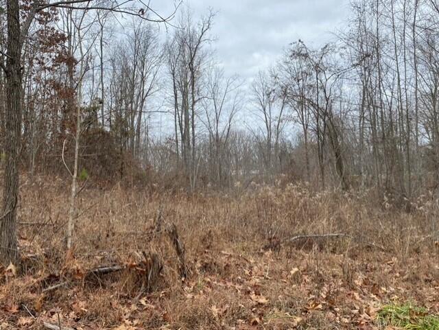 0 Spencer Road Ray, OH 45672 - Photo 2 of 19 thumbnail_IMG_0346