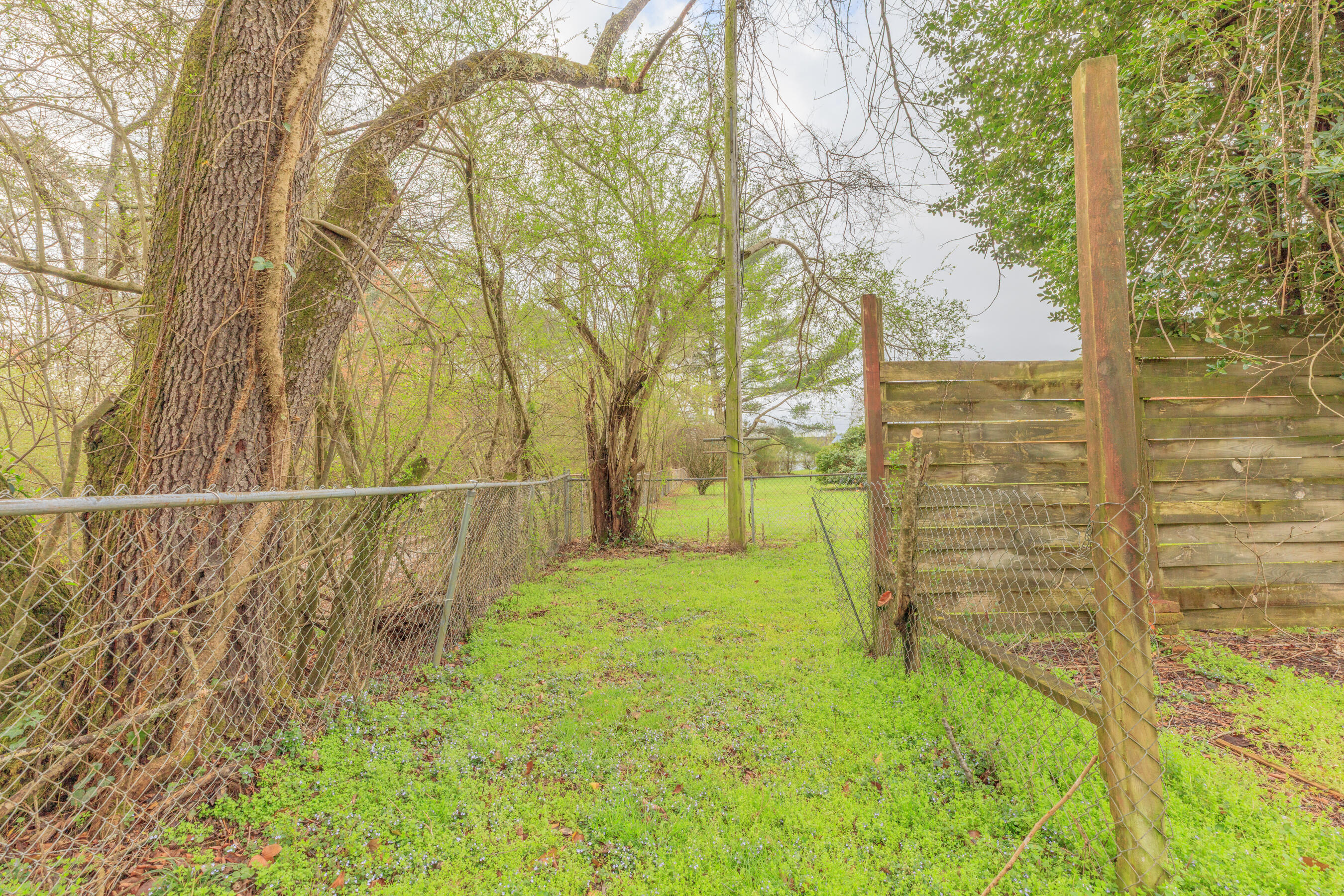 395 Wisteria Road LaFayette, GA 30728 - Photo 20 of 32 395 Wisteria HD-13