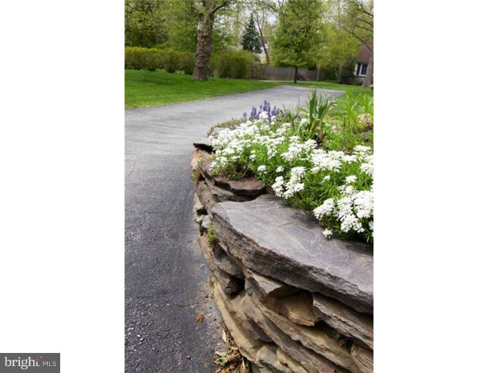 15 Whitemarsh Road Ardmore, PA 19003 - Photo 22 of 22 Driveway