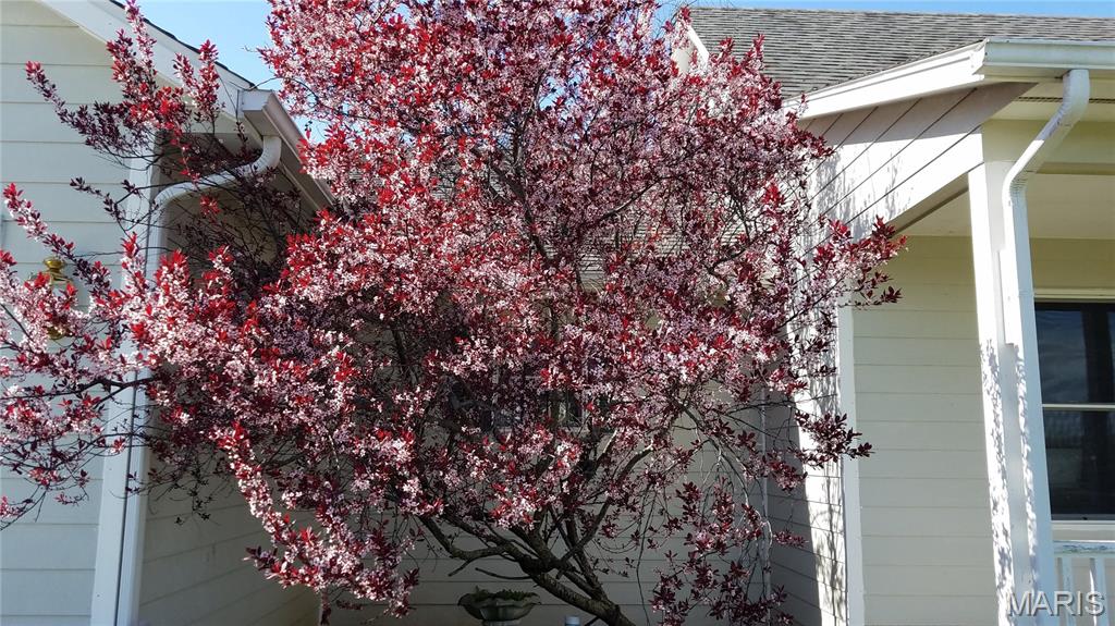 16055 South J D Sapp Road Hartsburg, MO 65039 - Photo 11 of 18