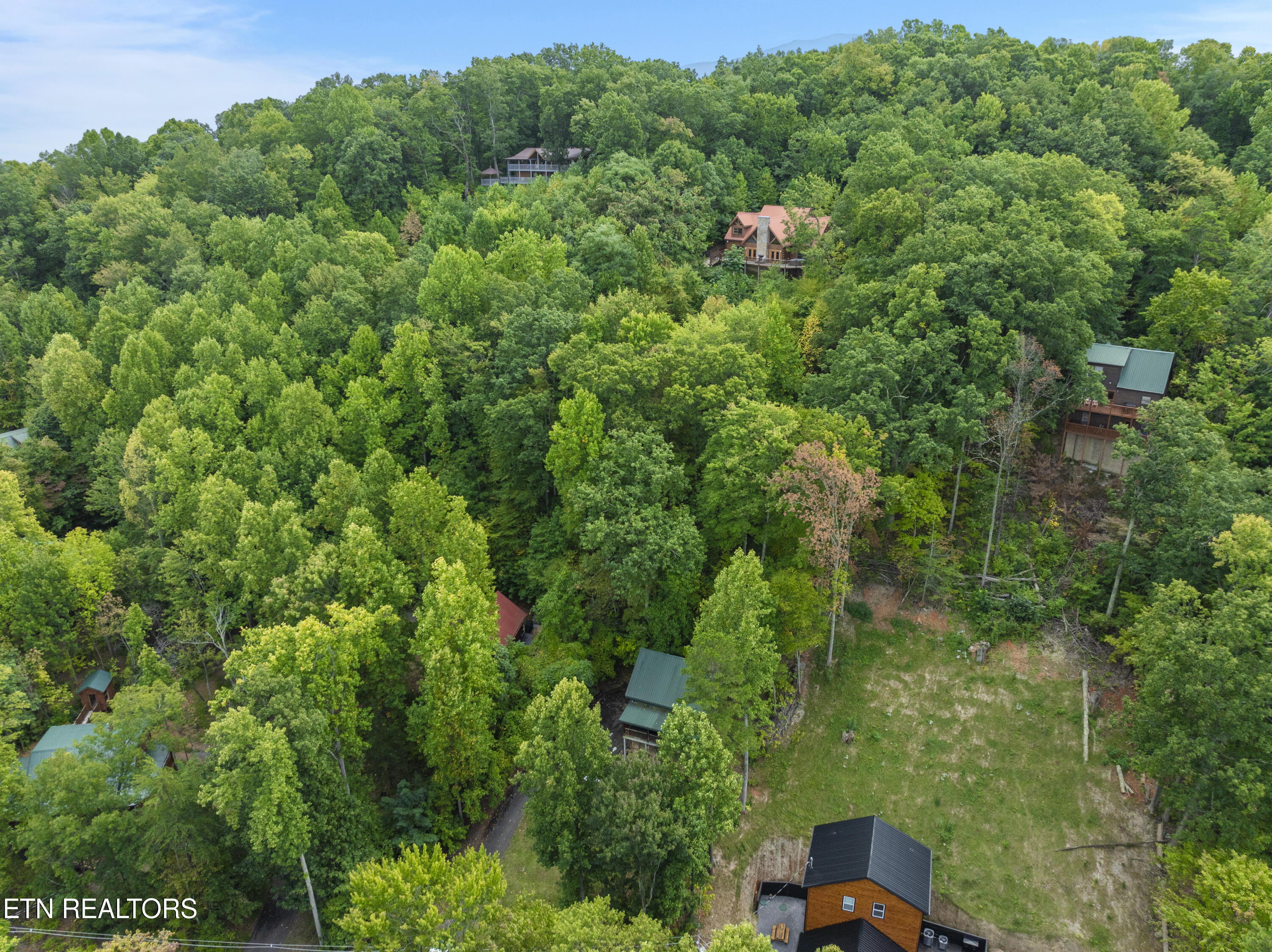 1814 Rhododendron Lane Sevierville, TN 37876 - Photo 21 of 22 DJI_0221